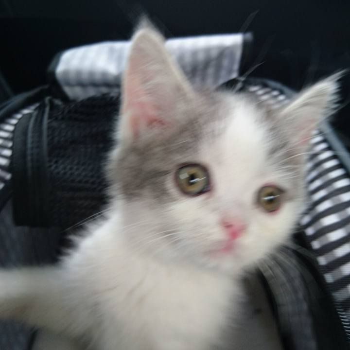 036481ec e5c7 4238 9e64 bf2605404cac 1525601365687