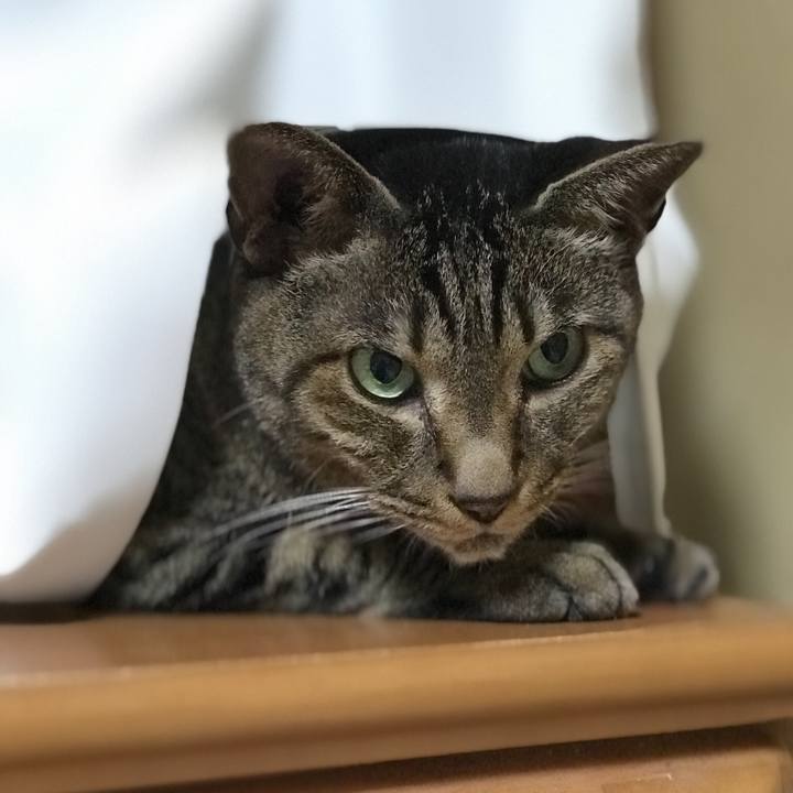 0364b098 383c 49a4 927d 8fa7e30f2b3d 1533773847173