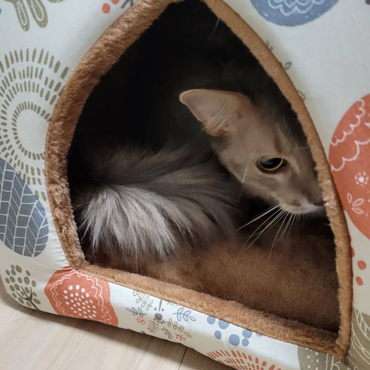 0364e419 93de 45d8 b9f7 f14081424651 1642076577829