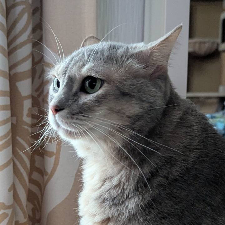 03651995 7357 440a 80ee 7cf8ce50a2bb 1763939182186