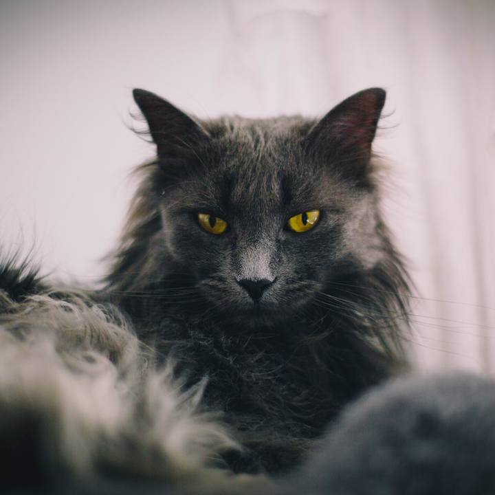 03651d5b 80c5 4cbe 9ee5 06518b904c35 1523869930408