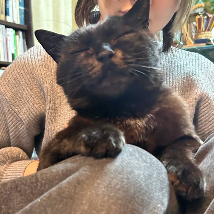 03656635 33ac 48ac a593 da6326a7c77f 1743312127716