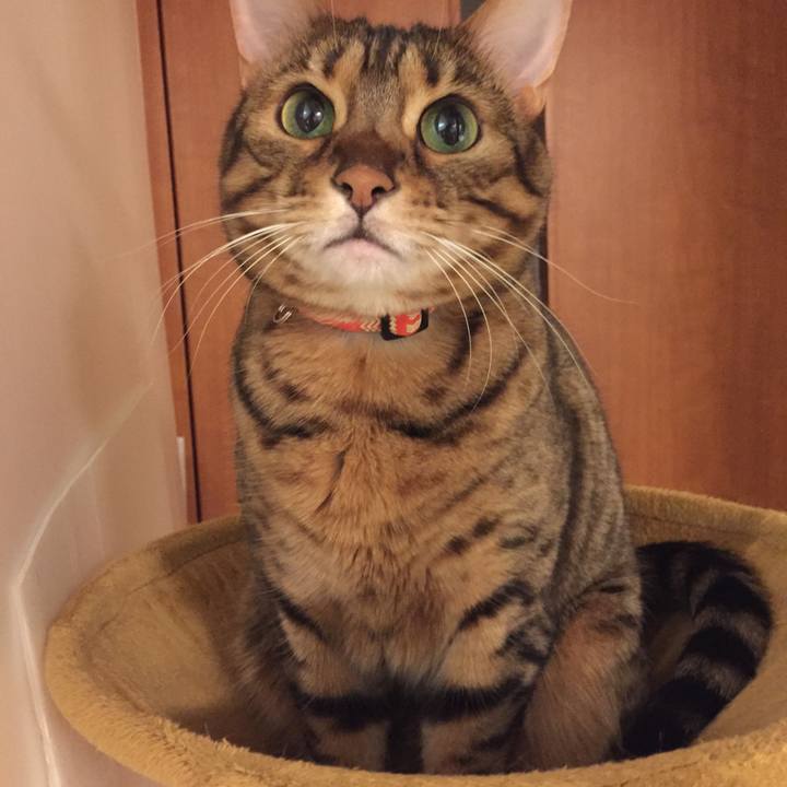 03658533 da4f 4d3e 8d7c 1304d46bf293 1524896751956