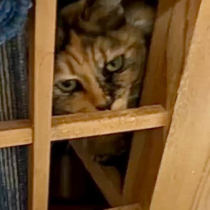 0365b4a6 e852 4543 815e c478bbcbe8ac 1772805094252