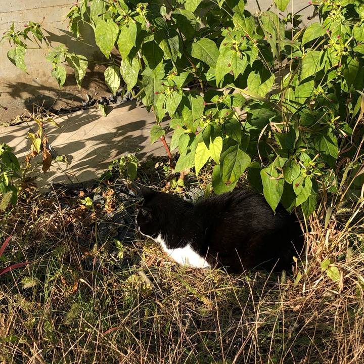 0365ba1a b485 49fa 81e7 2500f7c7b514 1607439277980