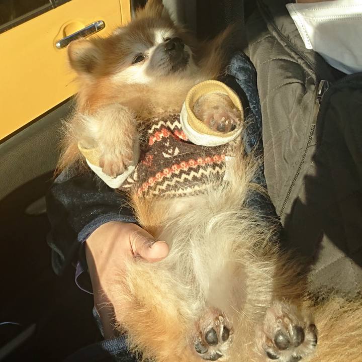 0365bb04 a267 4c24 a00c 1c57e0377d08 1674116242734