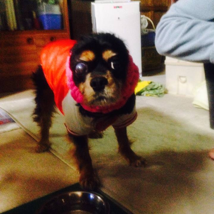 0365e933 ad7a 46ff 877b dbd85946a196 1571292375686