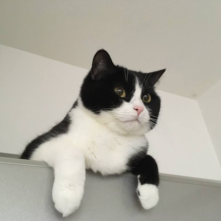 0365f8d1 2e14 4adb bf19 745243994807 1586690234507