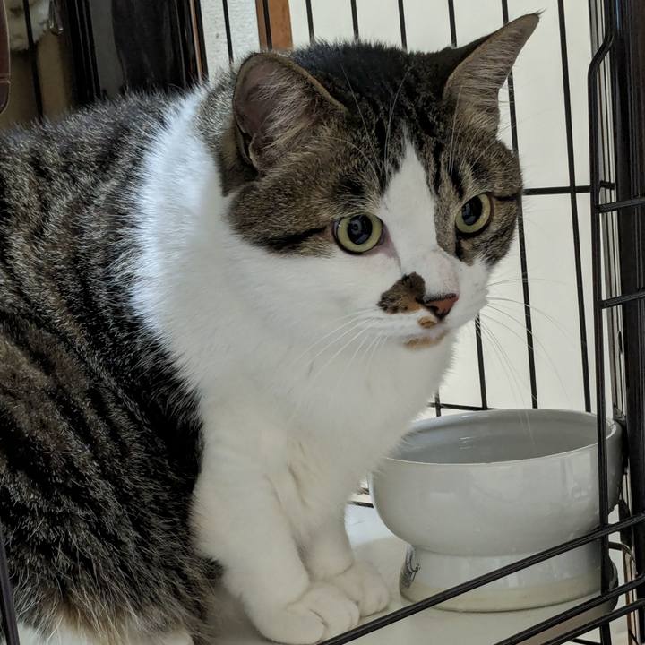 0365fcfc 3833 4bb2 9f68 0e0f02eb6edf 1715343901948