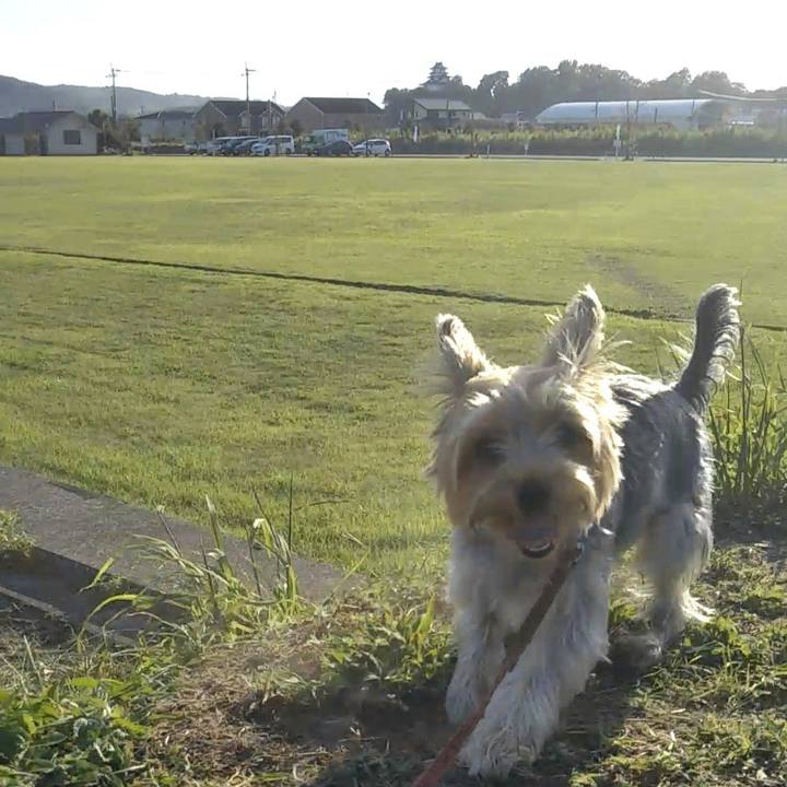 03662cac 3593 435d 987c f90ff98d3f30 1568890810448