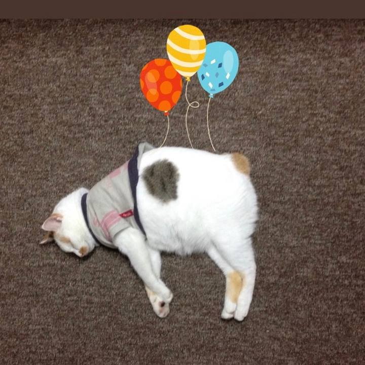 0366347d bcb9 4333 a777 936475765f45 1556623546590