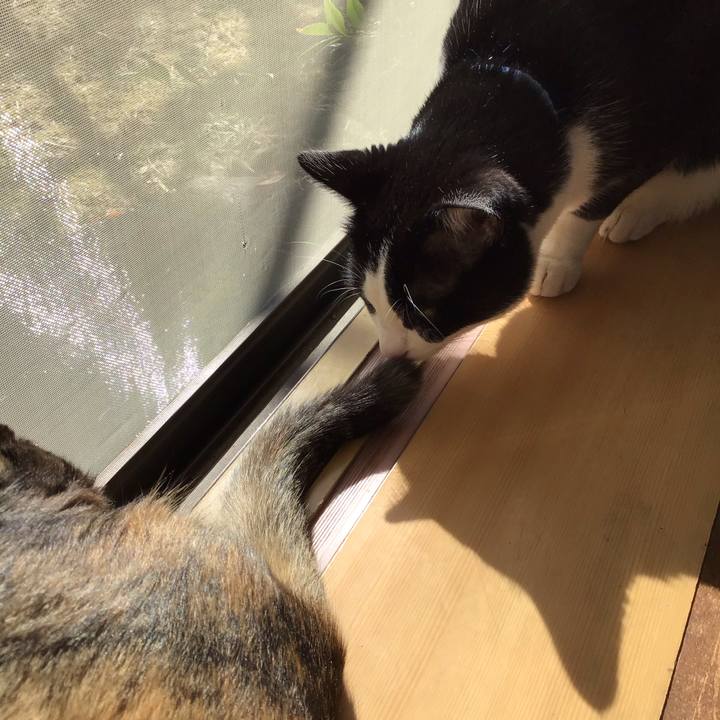 03664c28 544f 4182 a66c 8278e90ac74b 1678164533124