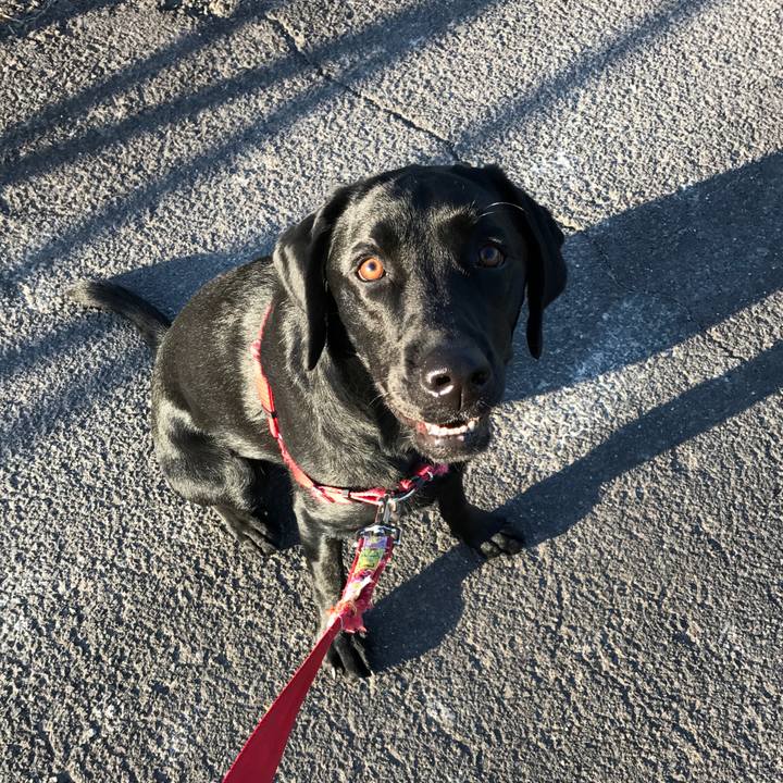 03668d0d bc3d 4bbd 9977 0b176f3e0673 1512208532502