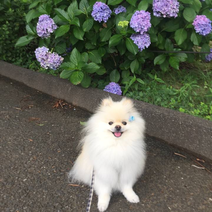 03669a71 c5f3 4753 b117 6a7f05909297 1592961259148