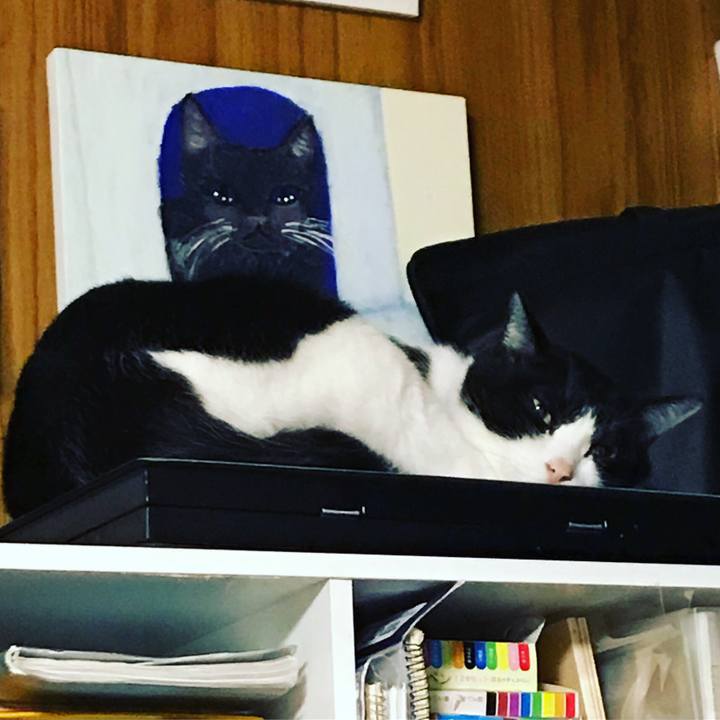 0366c8f9 9858 4975 a8ed 2ed787d1d660 1578568974117