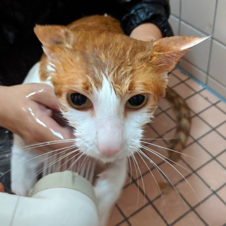 036723a3 a101 4f2c bf0b 5bfe7f6e5681 1564363178530