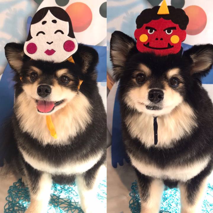 03672b23 2361 4009 88da 4497ba6d0f36 1612667759476