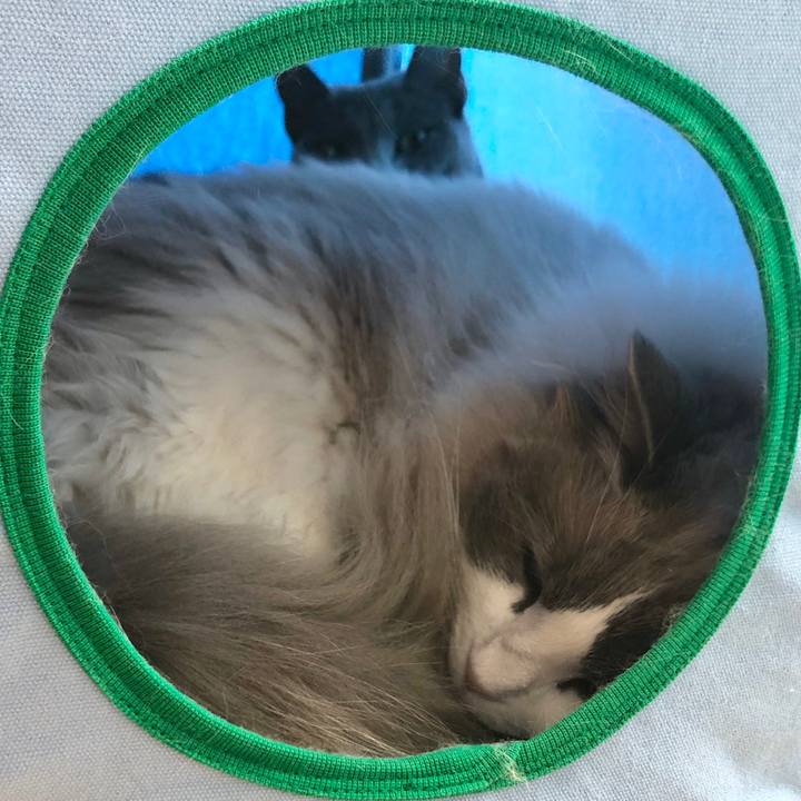 0367387d 4a55 4186 9168 3ce1c968a09b 1586133638631