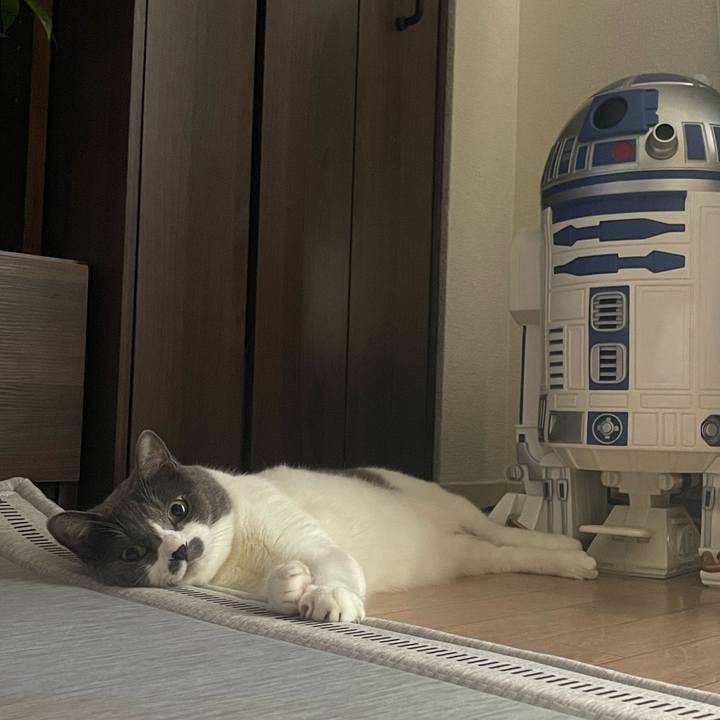 036769c0 d6af 4052 adaf b72928f54057 1752626073118