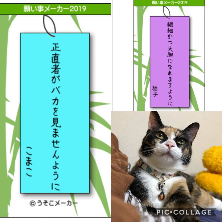 03677935 b28e 4539 8aa1 7b4959100e89 1562499054889