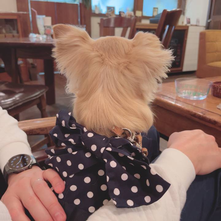 03677b1c a715 4527 a974 5354f85b90a4 1745923001652