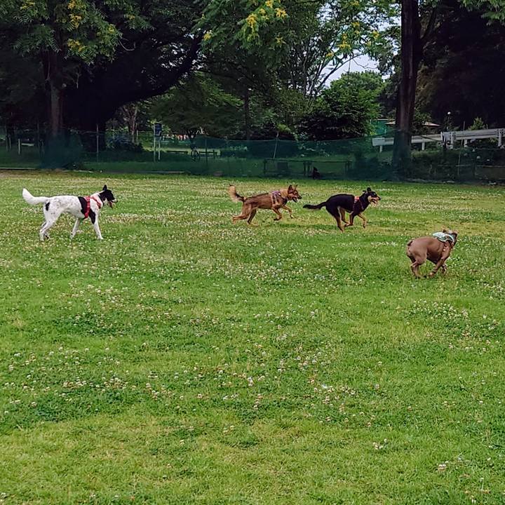 036785ec 8cd0 4bcf 8749 8c32f8e41293 1718505115532