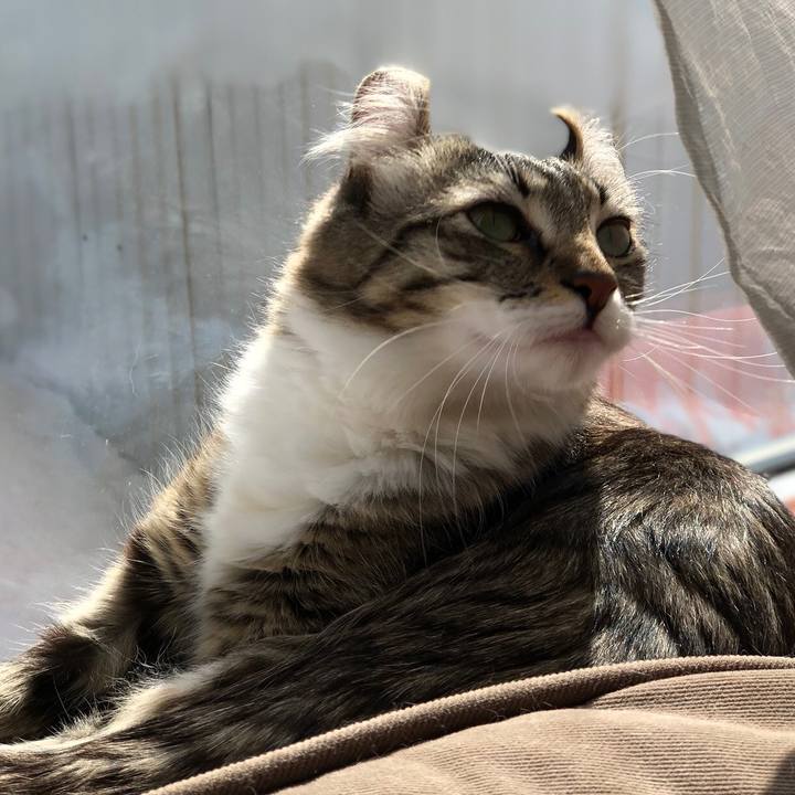 0367b052 f370 4cb9 8457 2daf181c80a8 1518752623529