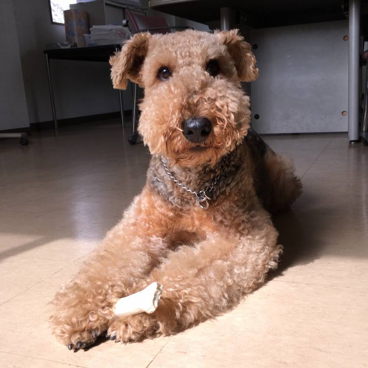 0367c546 74c3 458a a296 a6e2ad6afff9 1538796558242