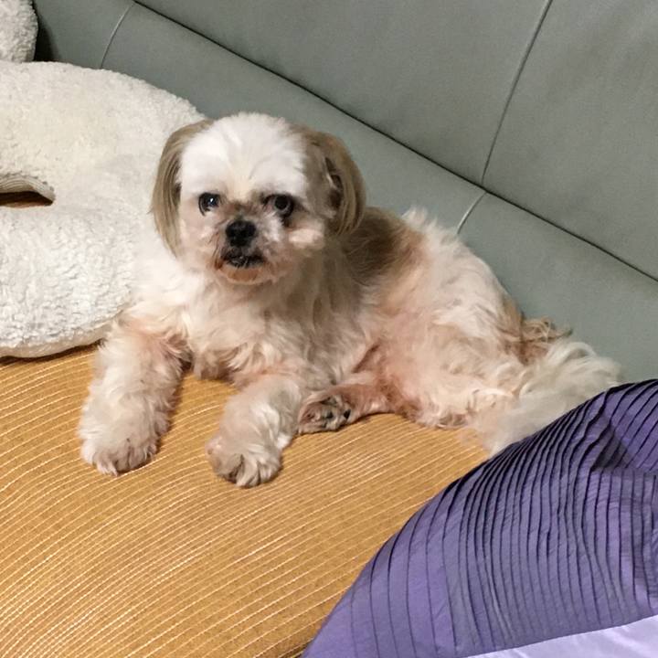 0367fbc8 02e8 40d7 8d23 1ffb4b07005c 1632213722688