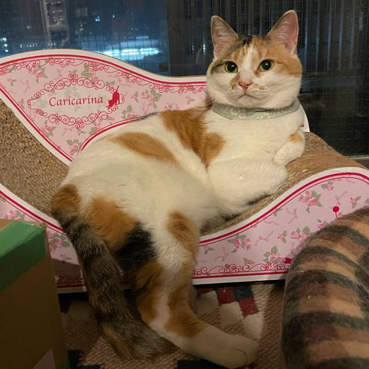 03685e9d b6a0 41b6 a96a 7b8017c9dfdc 1685456448704