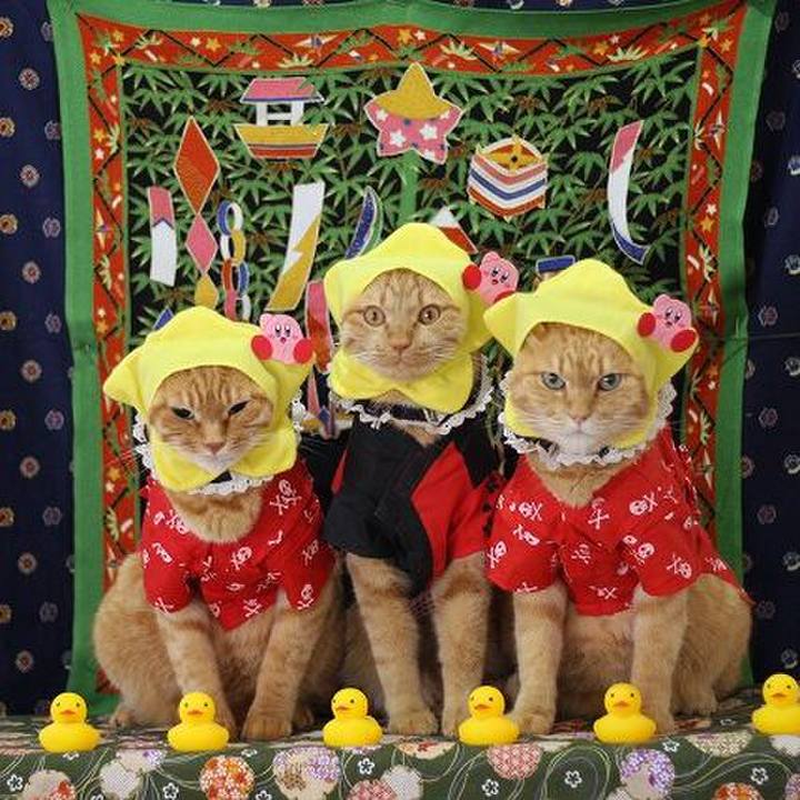 03689e3d ab68 4dcb 8ad5 4e402019911a 1594103340895