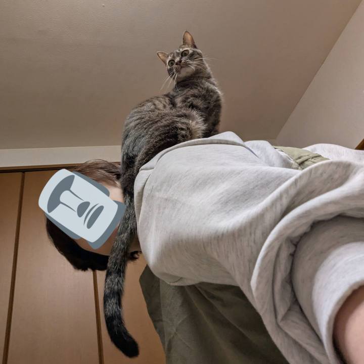 03689ed7 4437 4f5a 86c3 20298d2f478c 1764651185653