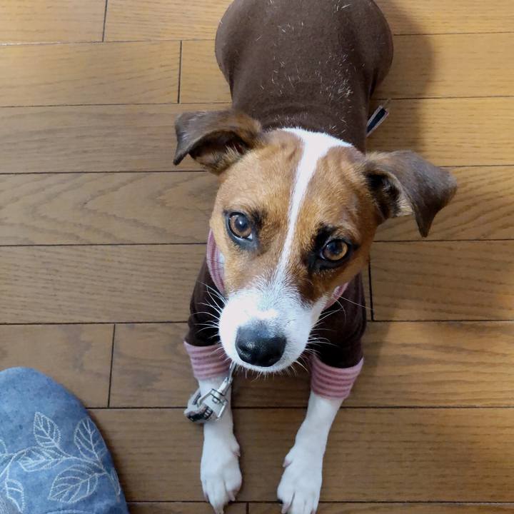 0368b807 91ff 46a1 82d4 83ef446c5ef8 1571268015177