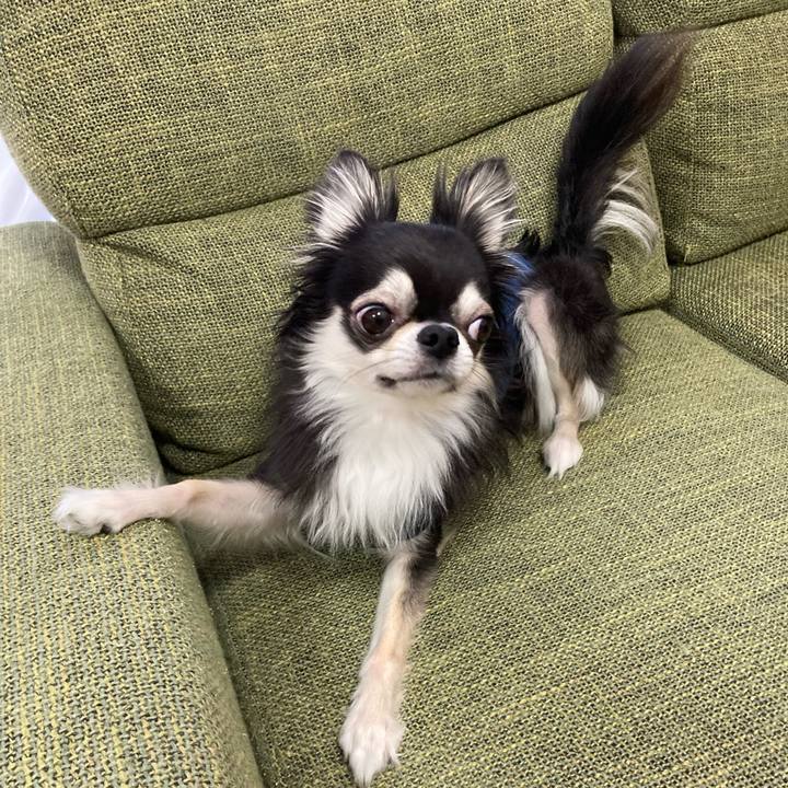 0368bd02 5988 4d31 b7e1 021e46bafc58 1681571352121