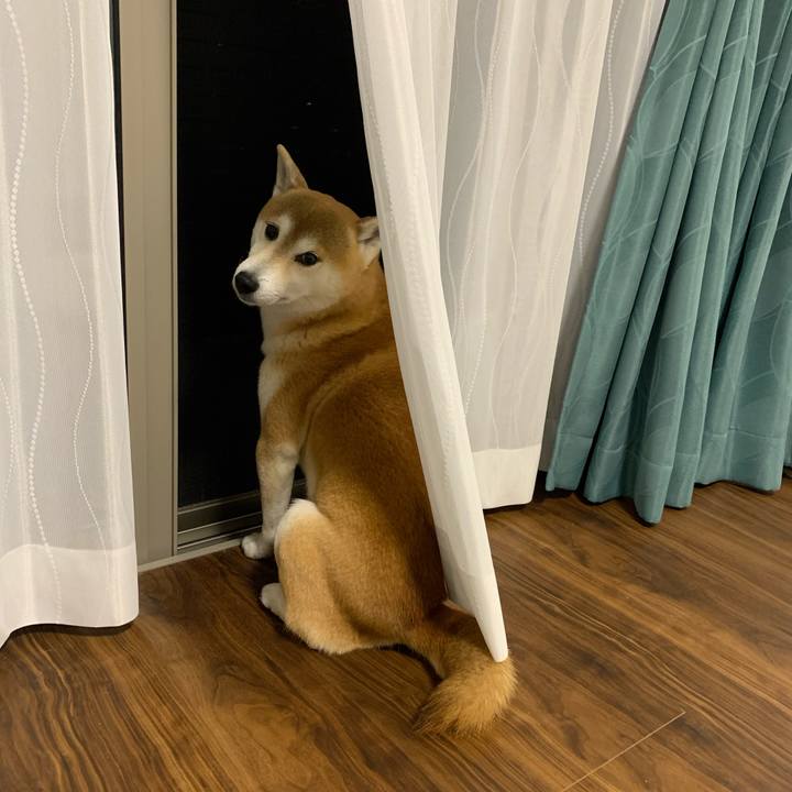 0368c06d 0685 4f78 b70a 9a5d5d3e51f6 1617357574515