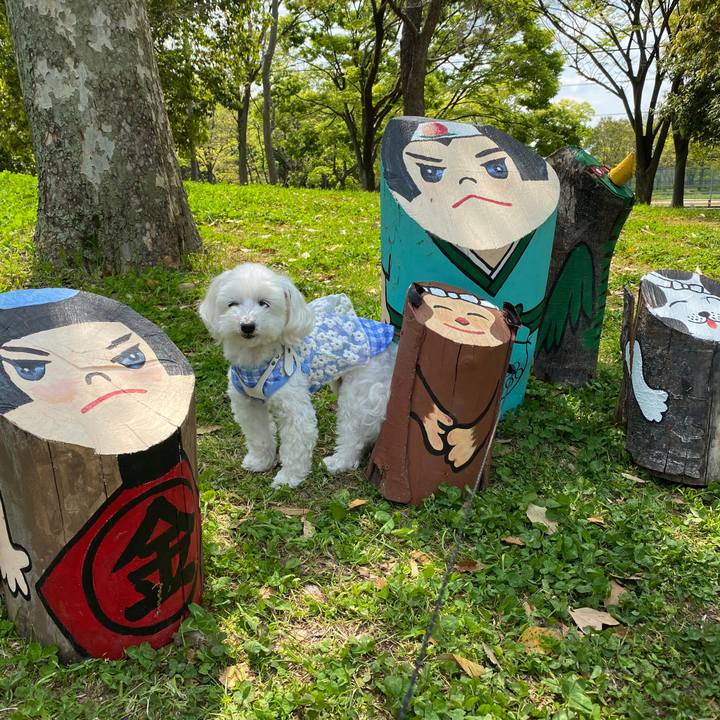 0368c643 8e13 4d09 bd6d 32ad864a8759 1587955538591