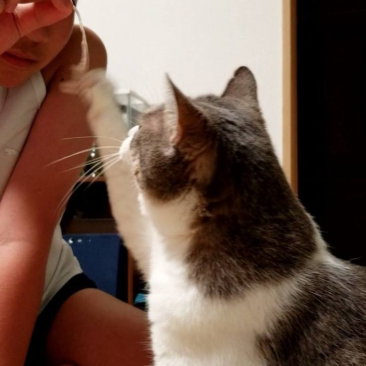 0368ea67 6210 4af9 80cb ee999913fbc0 1606567725339