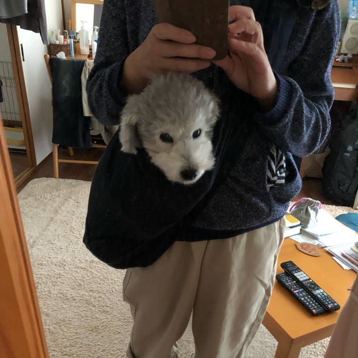 03690a4e 61c0 49bb 8fa0 bb7ed5fcd303 1571960325843