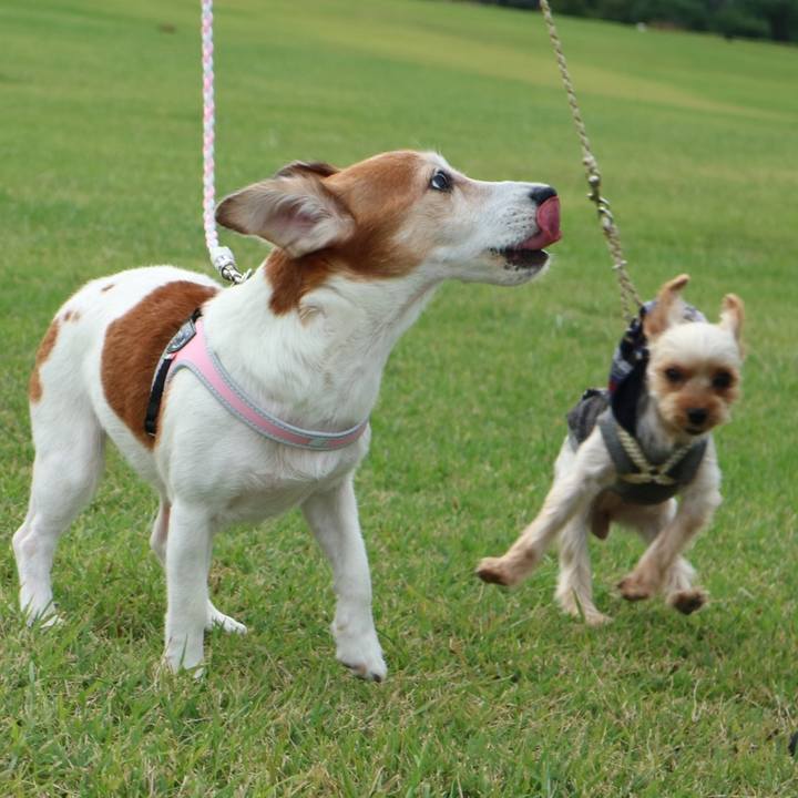 03696248 3a36 4e5d 92ed a7ca7860a899 1571715776359