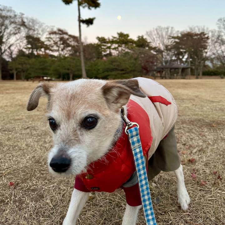 0369747b 28e0 4b56 b3e5 8c06fe335f59 1734170109301