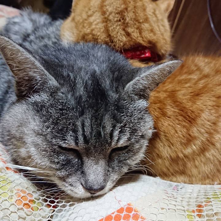 036979c6 8a05 43a9 8208 49d5e21b5cb5 1578399311140