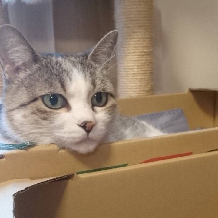 0369a43f ae2d 425c a7f9 069377bf999c 1765147657246