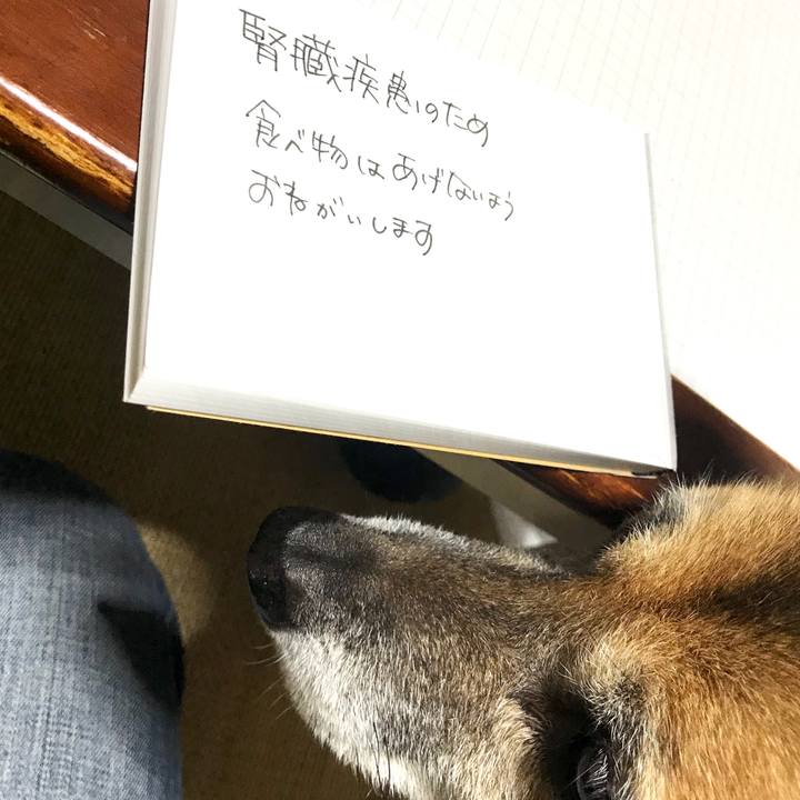 0369cc0e 3356 4204 8765 8c5b9a1e6001 1541230919624