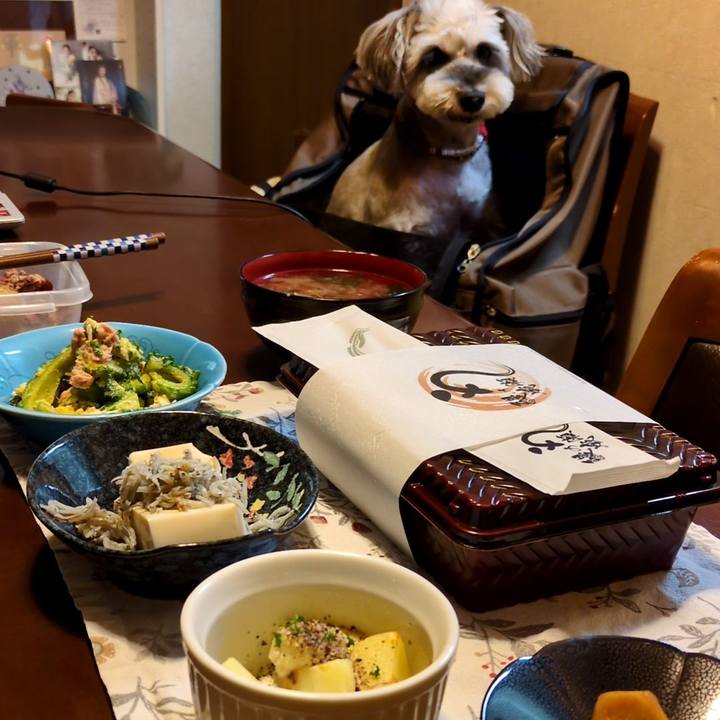 036a0008 ab2c 4566 9811 4a5483865ace 1756042414162