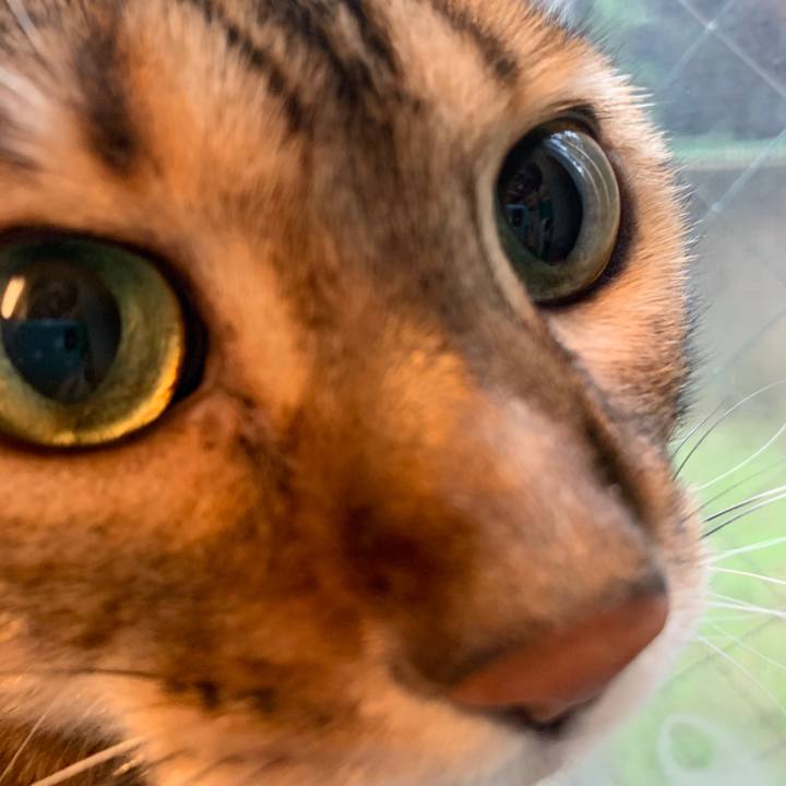 036a068e 338b 4e00 a4f8 023d5cc8c554 1572057174013