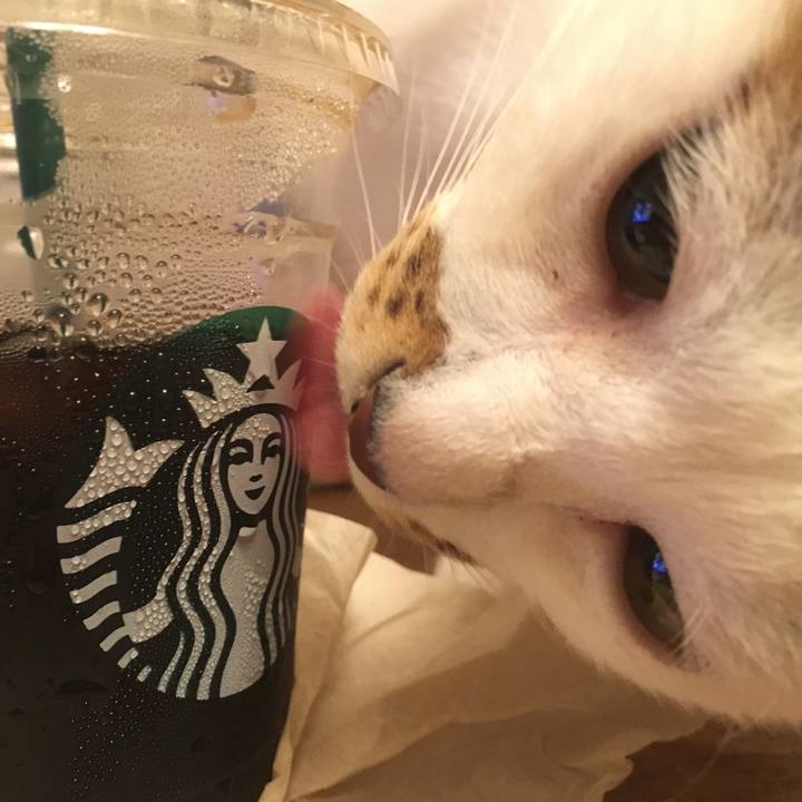 036a67b8 2815 43e8 9932 f6dceffd4818 1568987141562