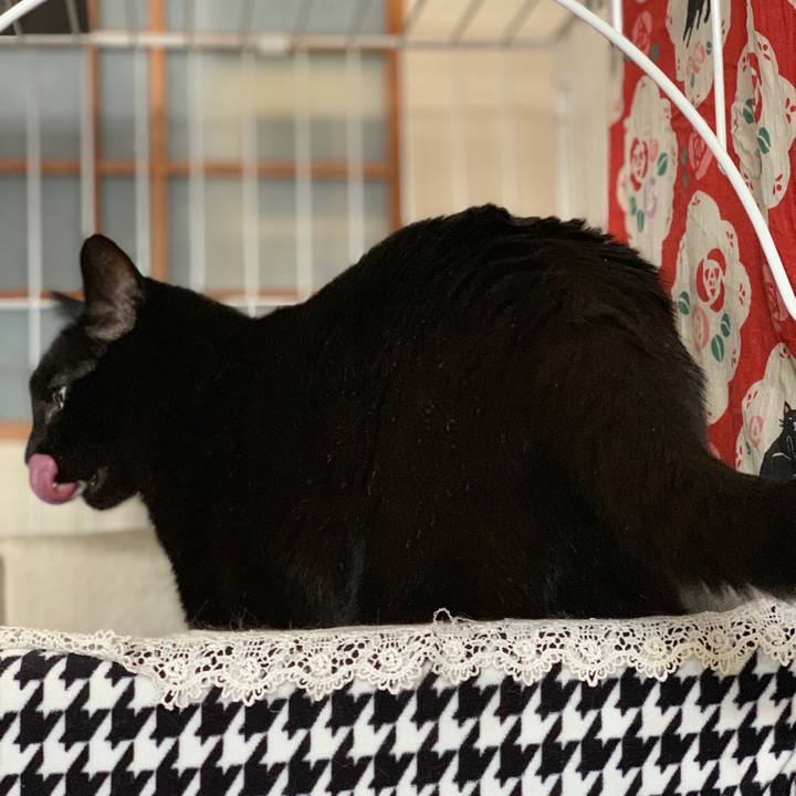 036a6ea1 2fb5 47a1 817f 4b1c17ec8e1e 1555551253071