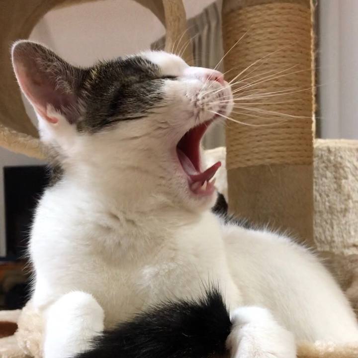 036aa7e0 4ccd 4a79 98a3 d5e0abb70955 1593607849140