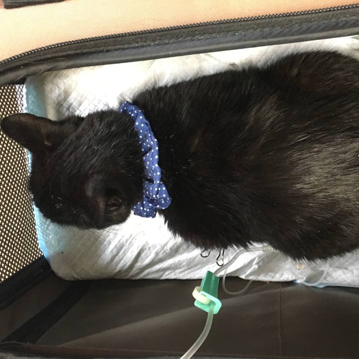 036aaf1c ea73 4b2b b69d 868f303e0f2c 1551495070726