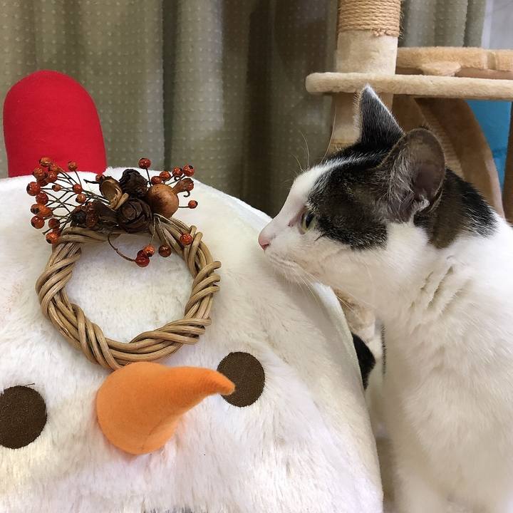 036ab0d2 9212 46d4 a379 c6bda9ea315f 1671886964748